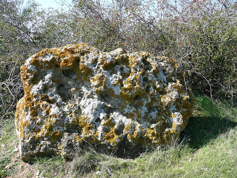 Photo de Menhir de l'Accomodement à Montreuil-Bellay