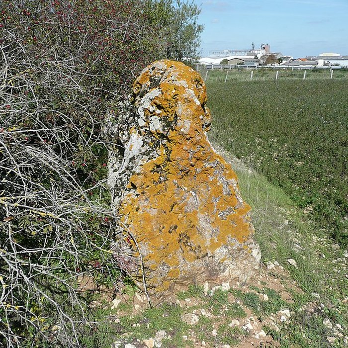 Photo de Menhir de lAccomodement à Montreuil-Bellay