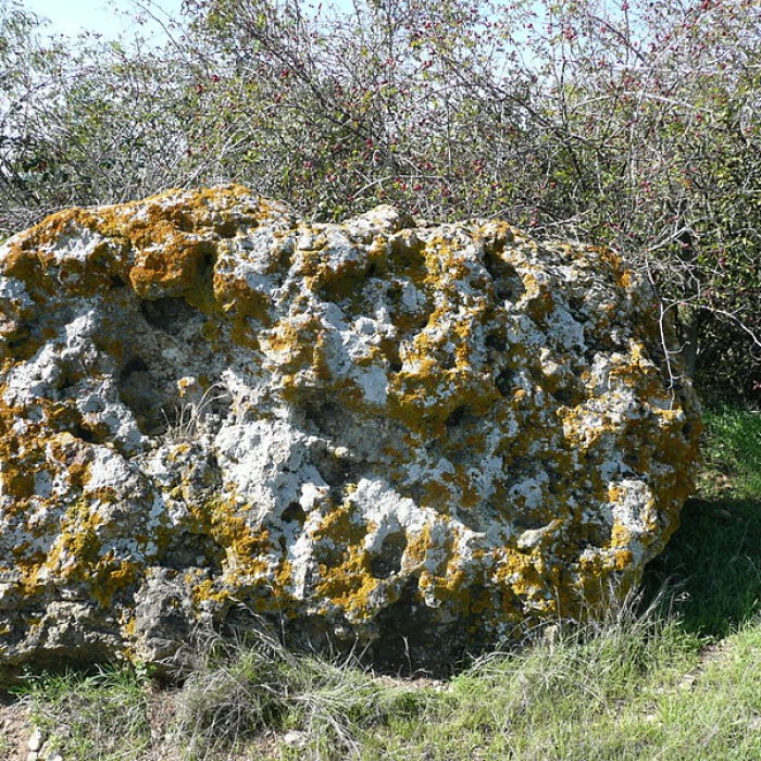 Photo de Menhir de lAccomodement à Montreuil-Bellay