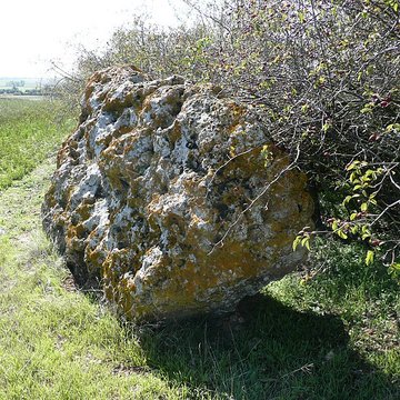 Menhir de lAccomodement à Montreuil-Bellay