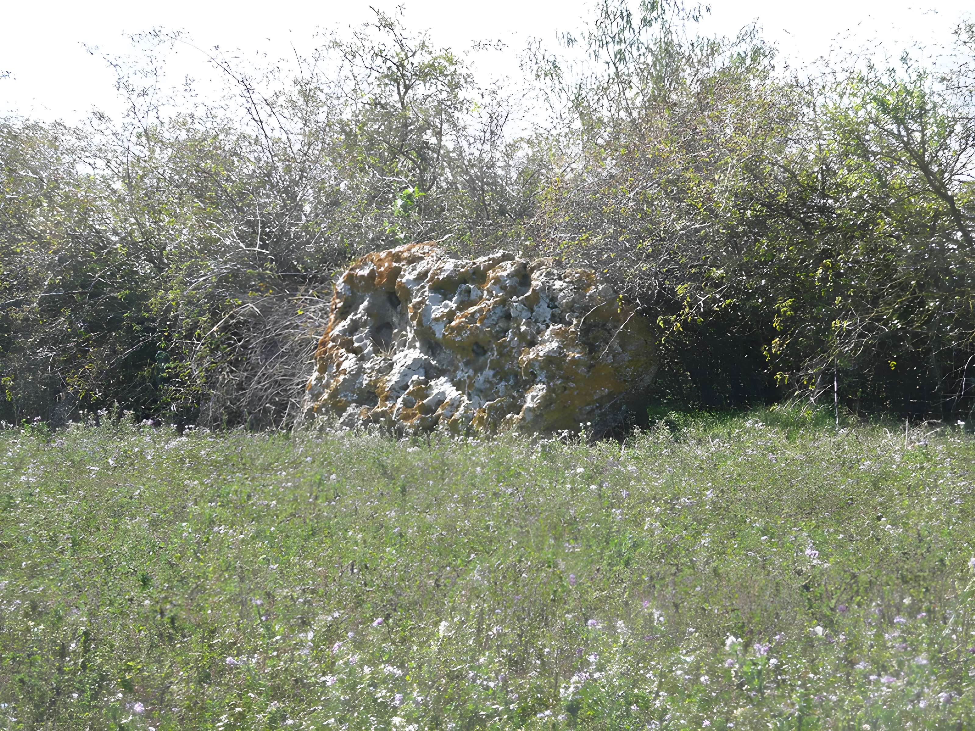 Menhir de l'Accomodement à Montreuil-Bellay