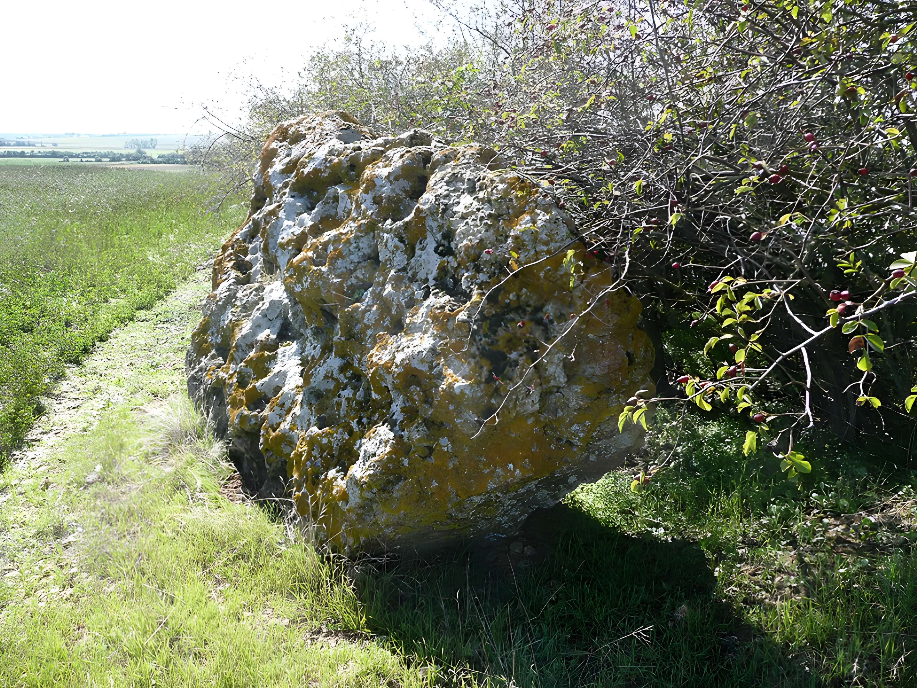 Menhir de l'Accomodement à Montreuil-Bellay