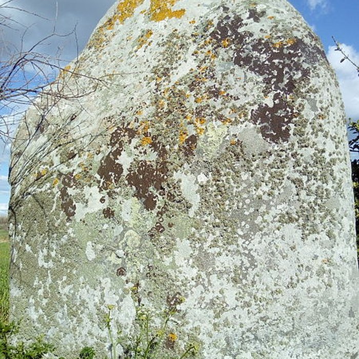 Photo de Menhir de Lanvenael à Plomeur