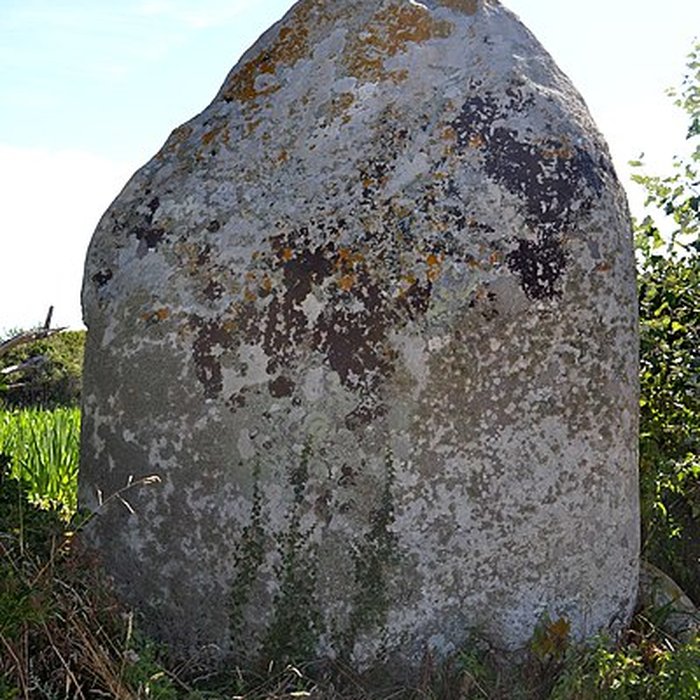 Photo de Menhir de Lanvenael à Plomeur