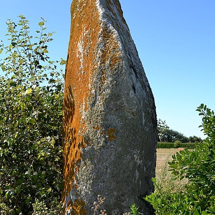 Photo de Menhir de Lanvenael à Plomeur