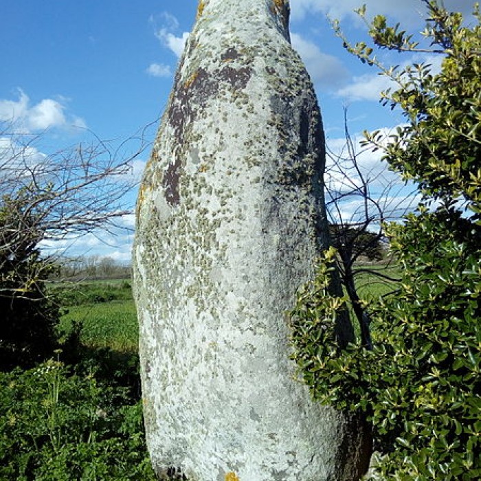 Photo de Menhir de Lanvenael à Plomeur
