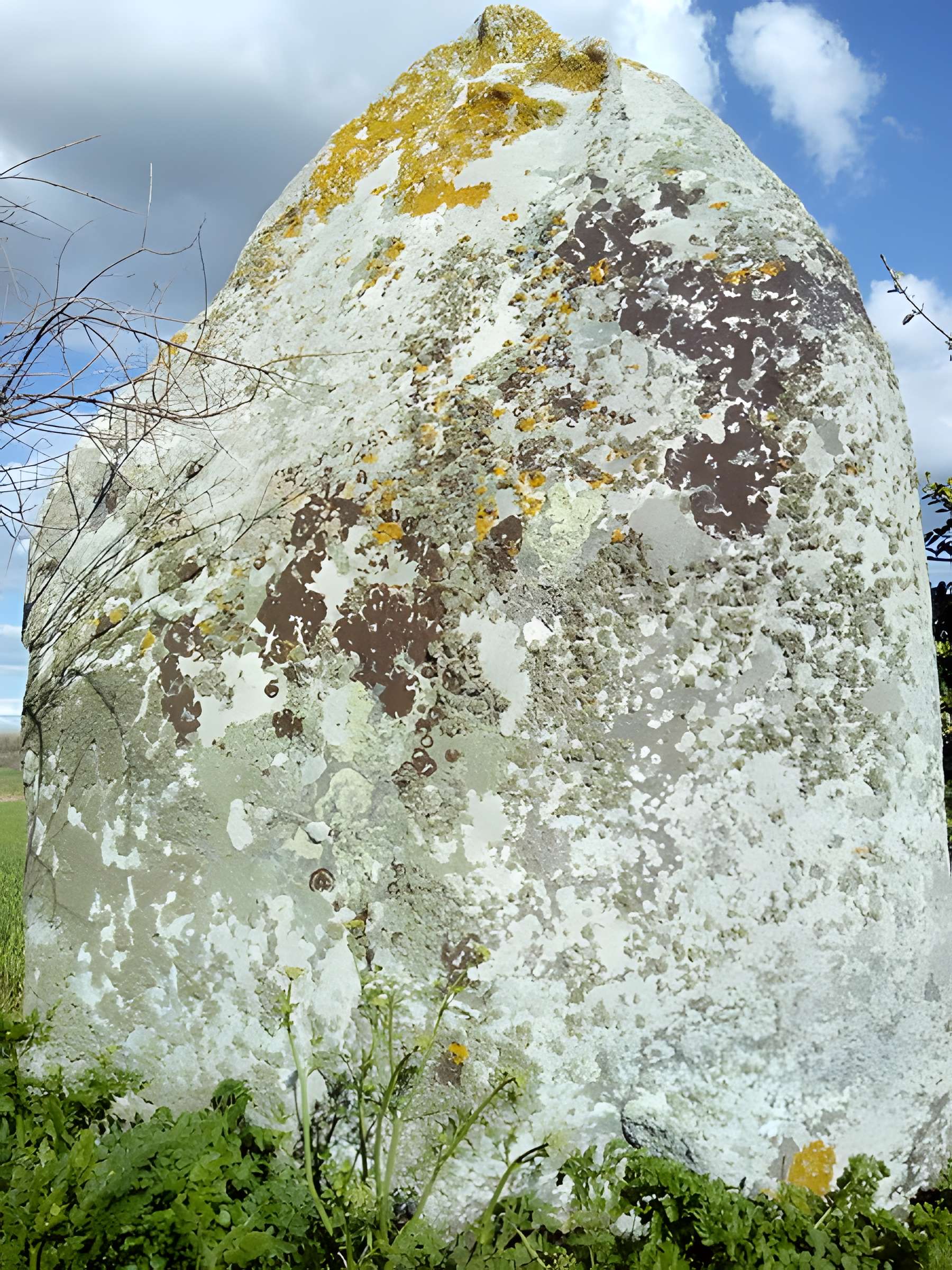 Menhir de Lanvenael à Plomeur