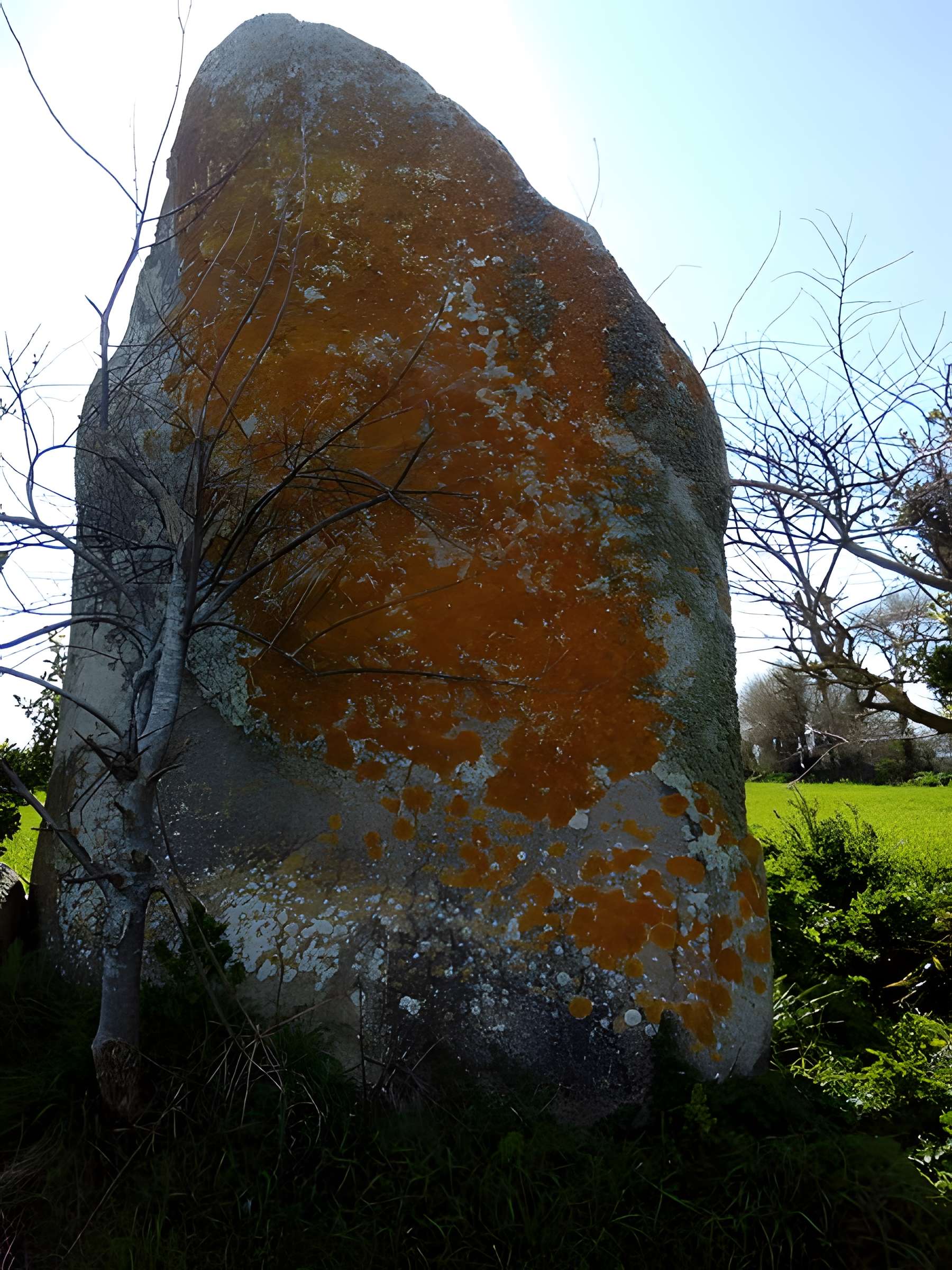 Menhir de Lanvenael à Plomeur