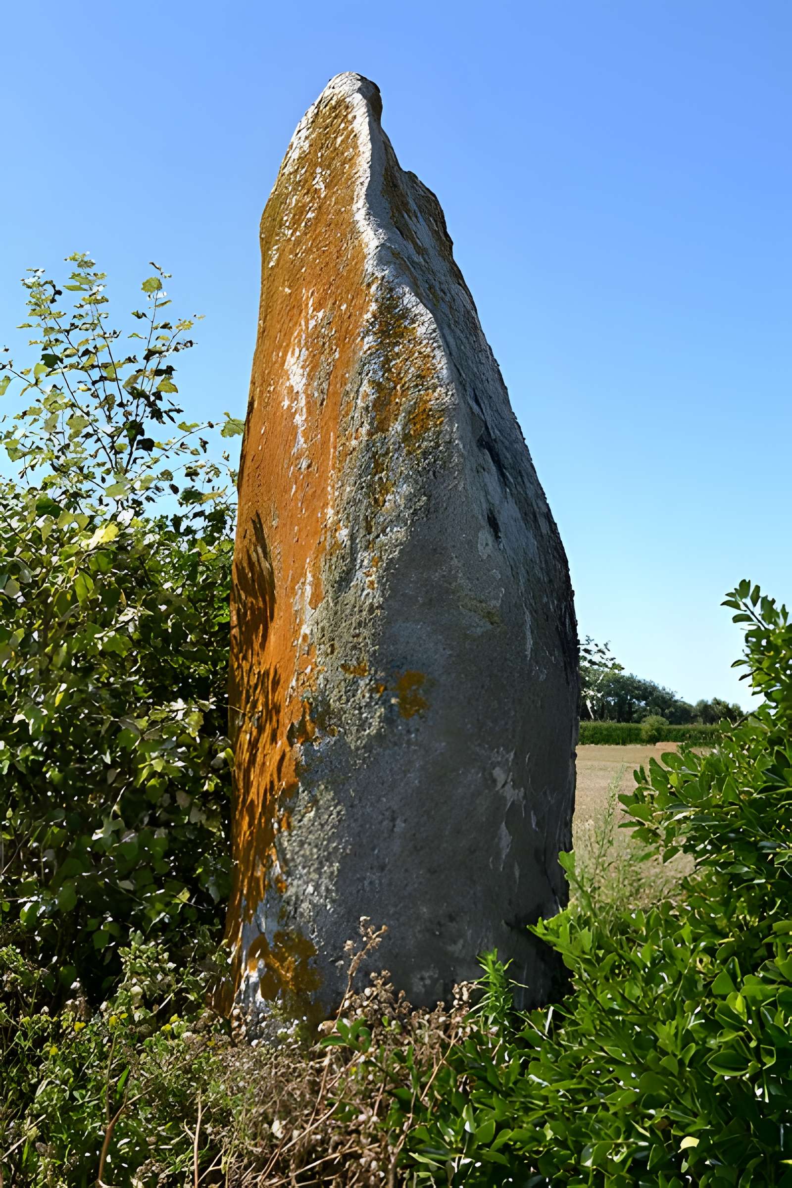 Menhir de Lanvenael à Plomeur