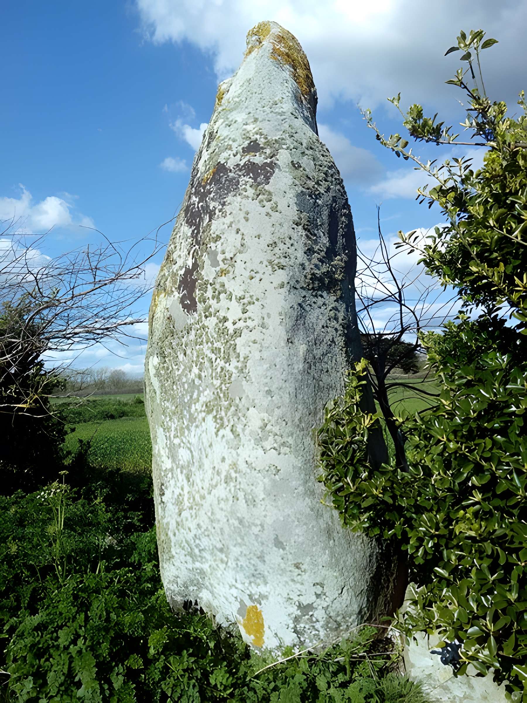 Menhir de Lanvenael à Plomeur 