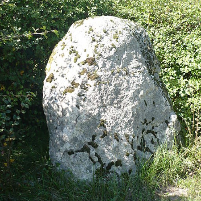 Photo de Menhir et dolmen dits LAurière
