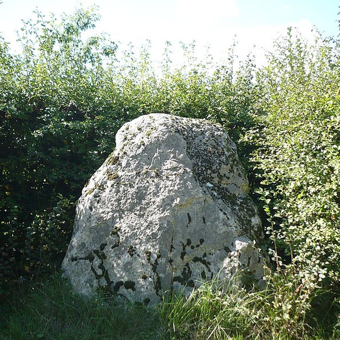 Photo de Menhir et dolmen dits LAurière