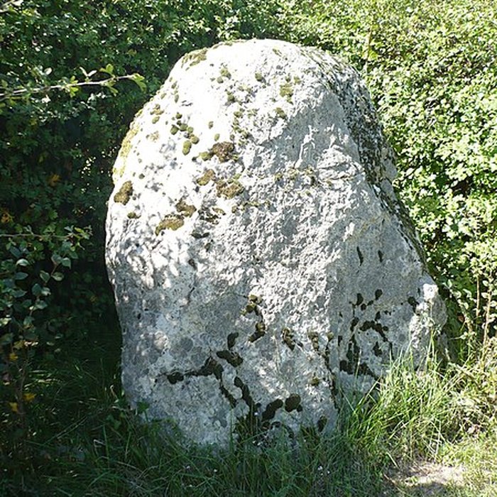 Photo de Menhir et dolmen dits LAurière