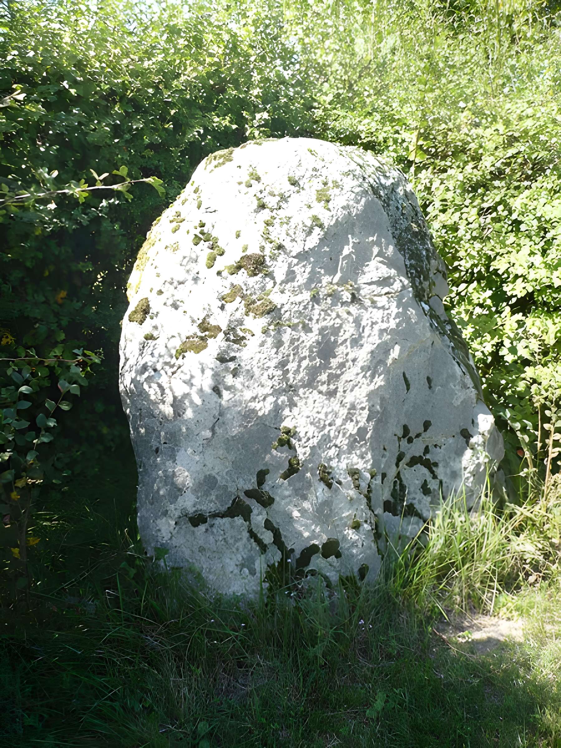 Menhir de l'Aurière à Chigné 