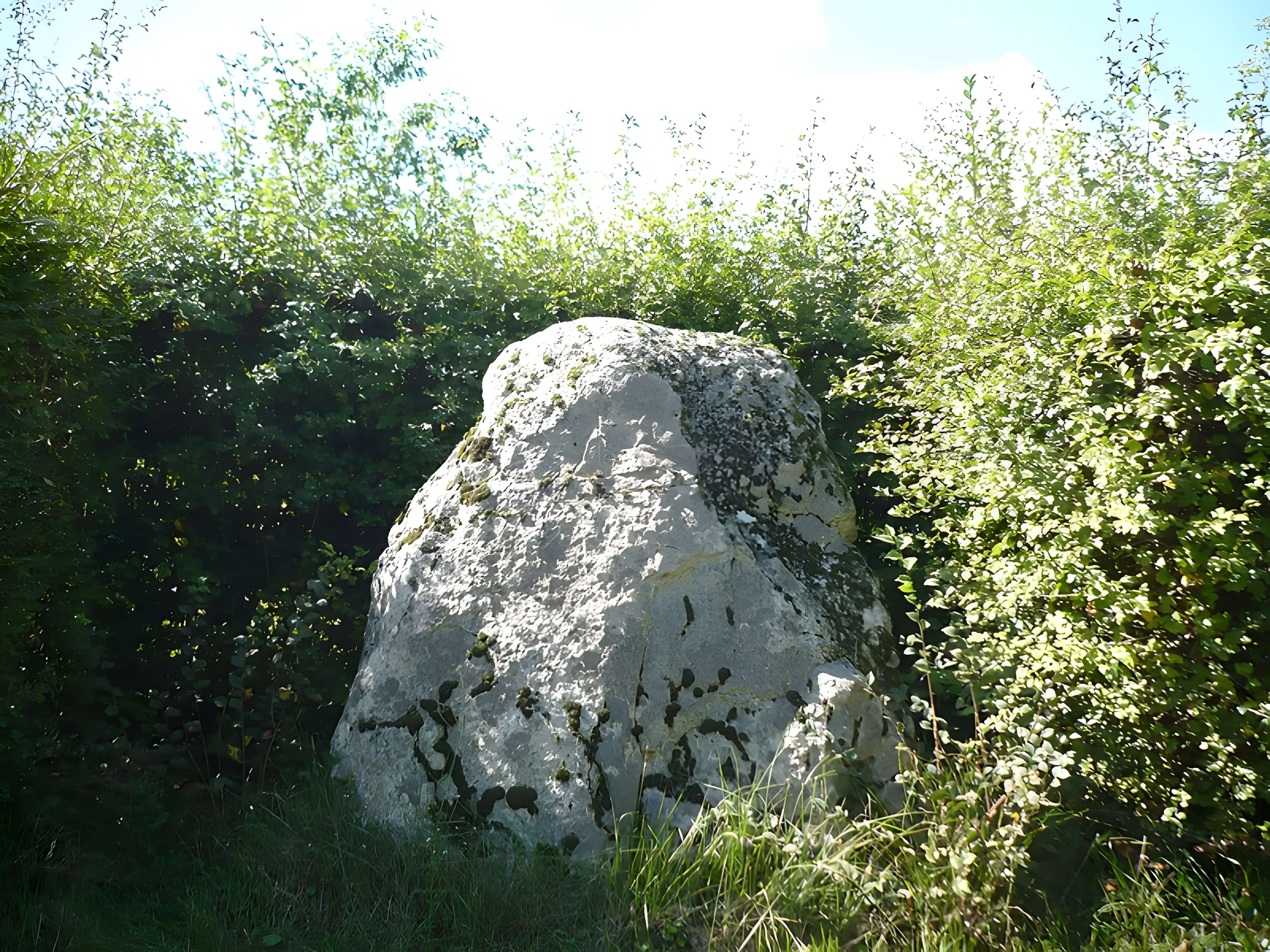 Menhir et dolmen dits L'Aurière
