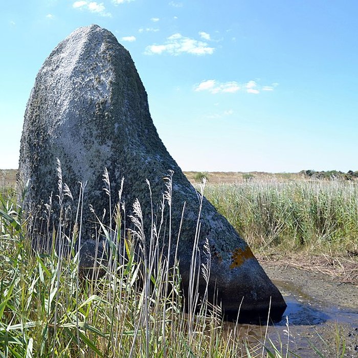 Photo de Menhir de Lehan à Treffiagat