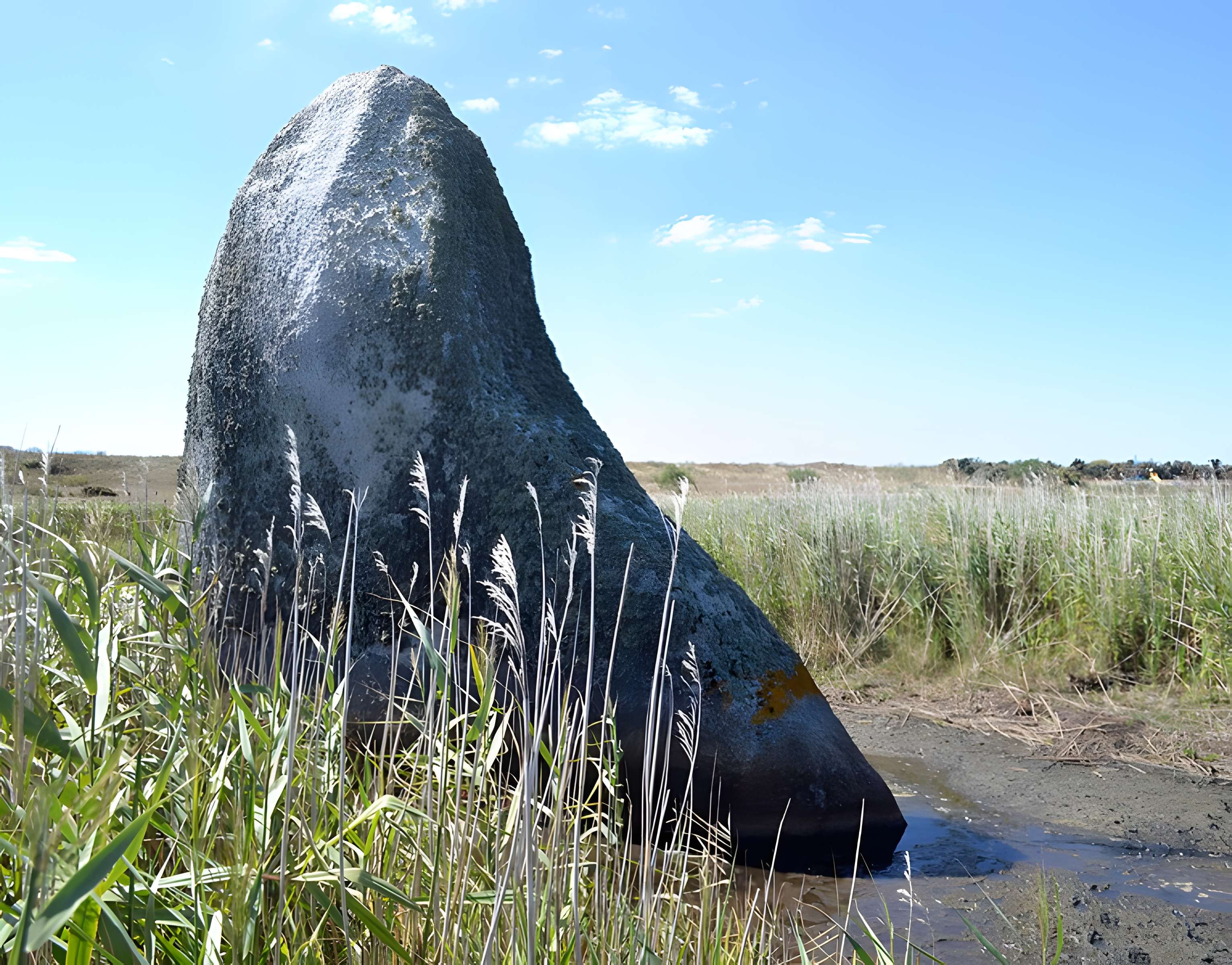 Menhir de Lehan à Treffiagat