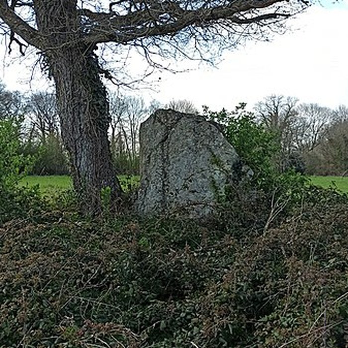 Photo de Menhir de Menou-Glas à Landebaëron
