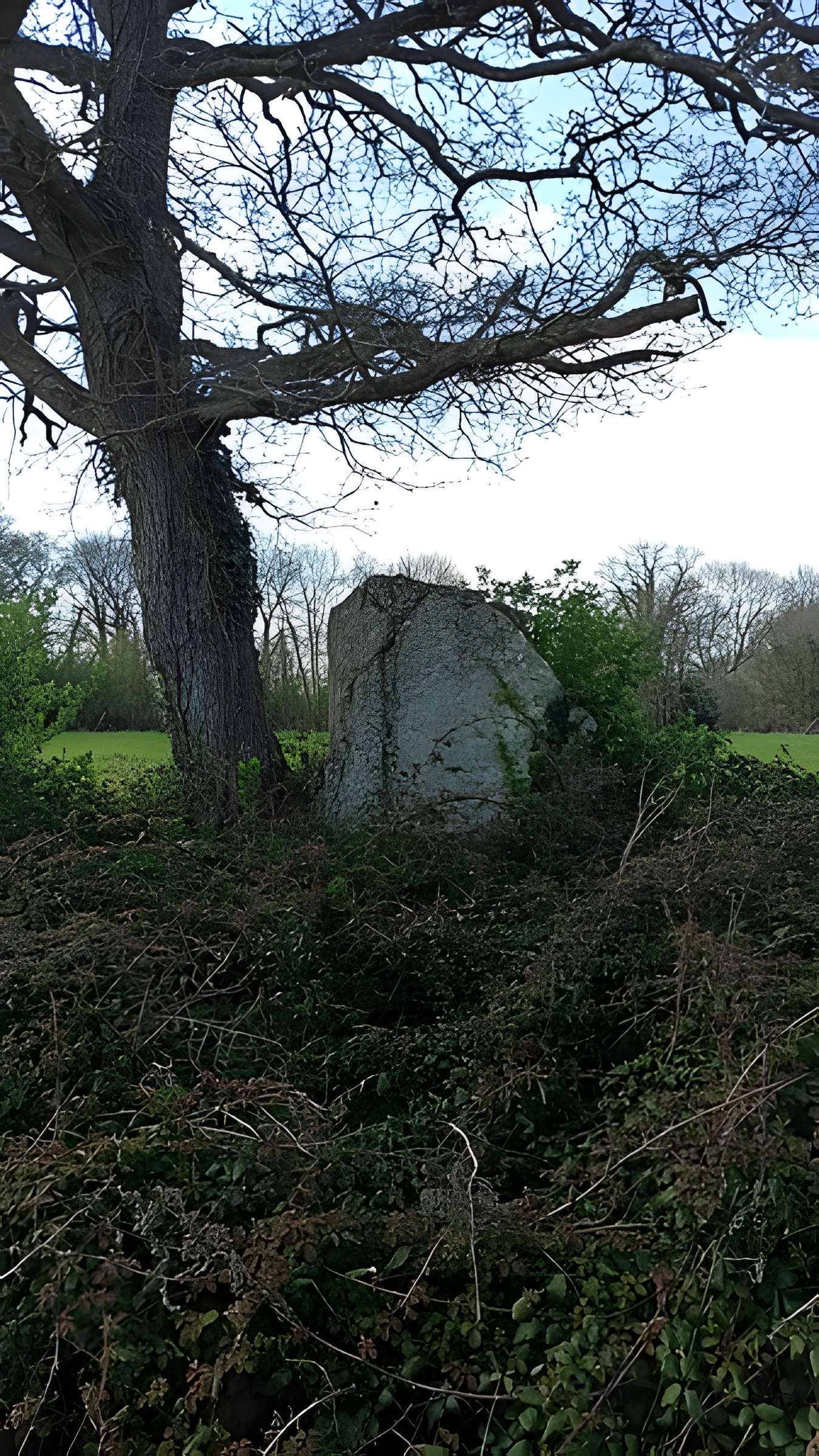 Menhir de Menou-Glas à Landebaëron
