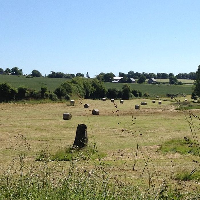 Photo de Menhir de Montcorbeau à Couesmes-Vaucé