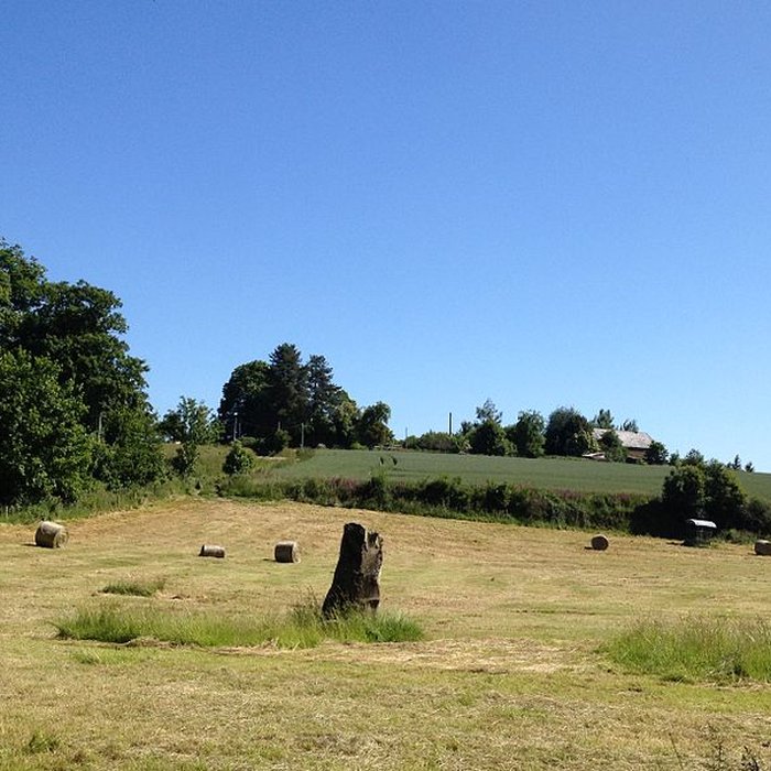 Photo de Menhir de Montcorbeau à Couesmes-Vaucé