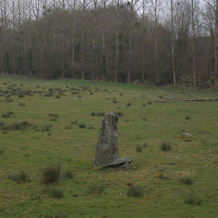 Photo de Menhir de Montcorbeau à Couesmes-Vaucé