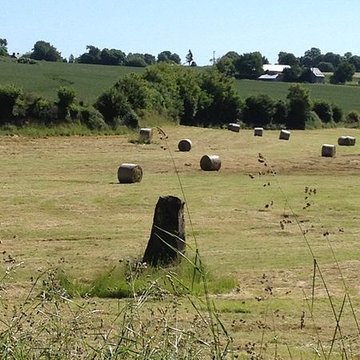 Menhir de Montcorbeau à Couesmes-Vaucé