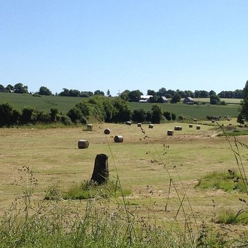Menhir de Montcorbeau à Couesmes-Vaucé