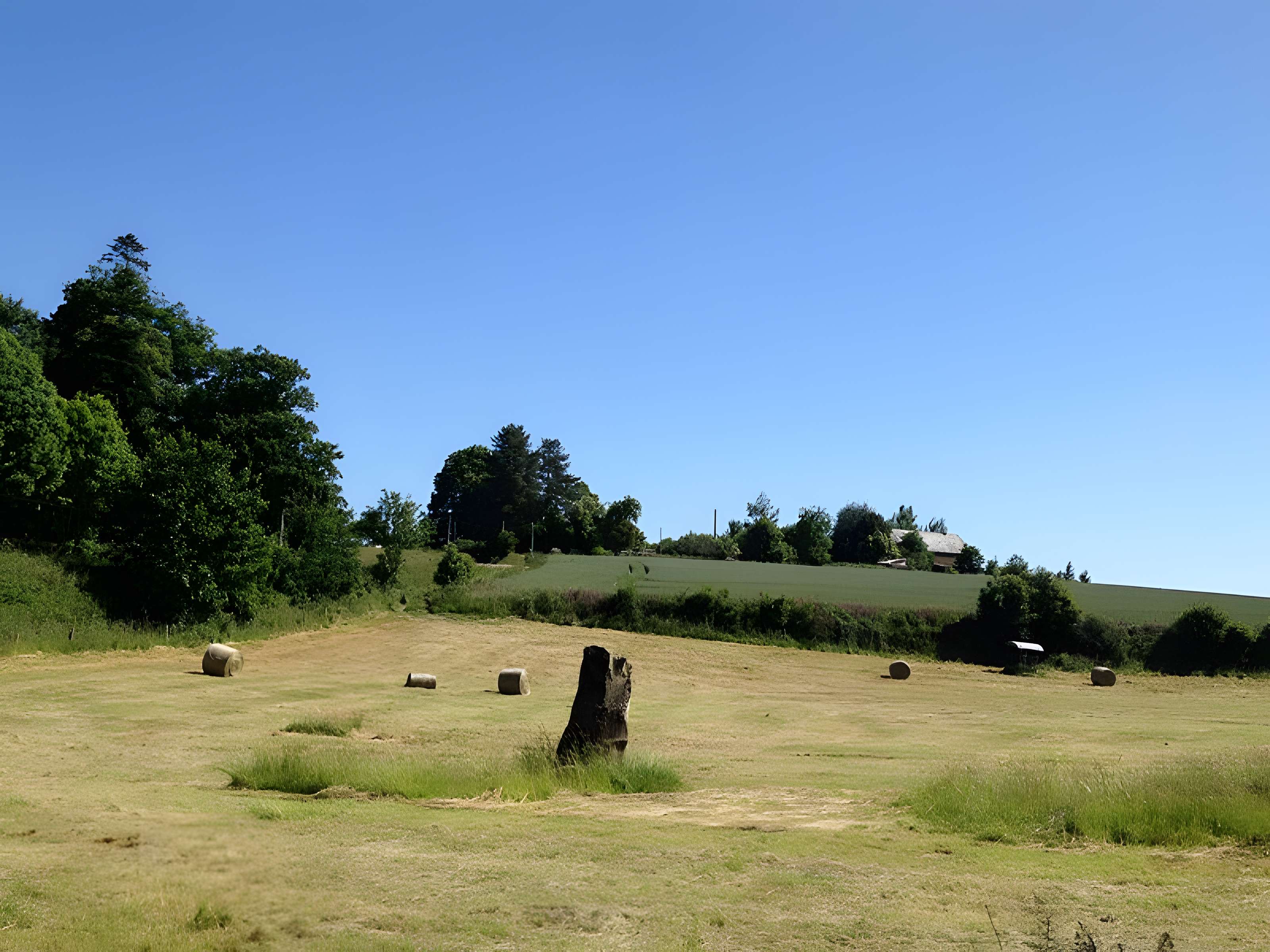 Menhir de Montcorbeau à Couesmes-Vaucé