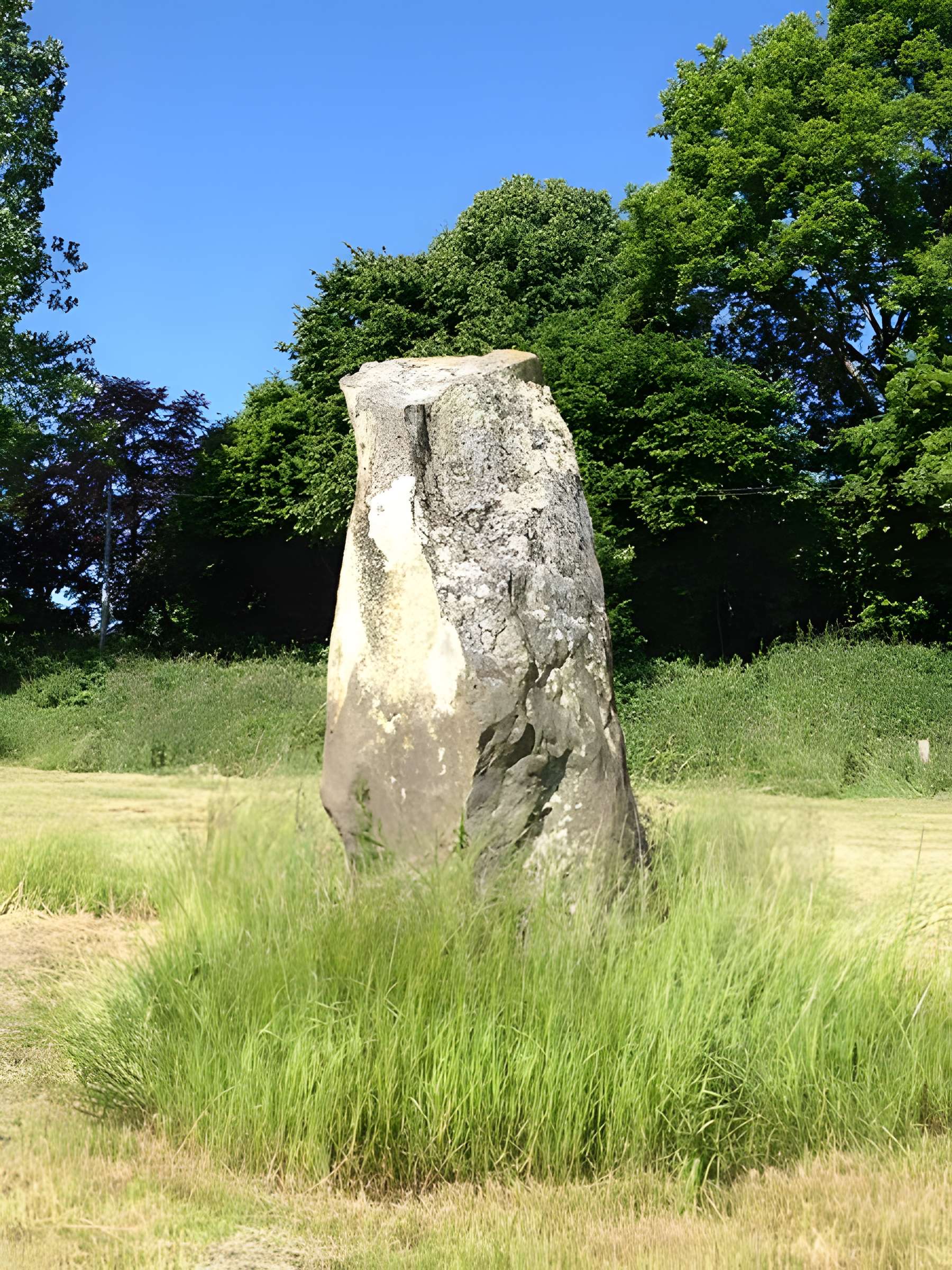 Menhir de Montcorbeau à Couesmes-Vaucé