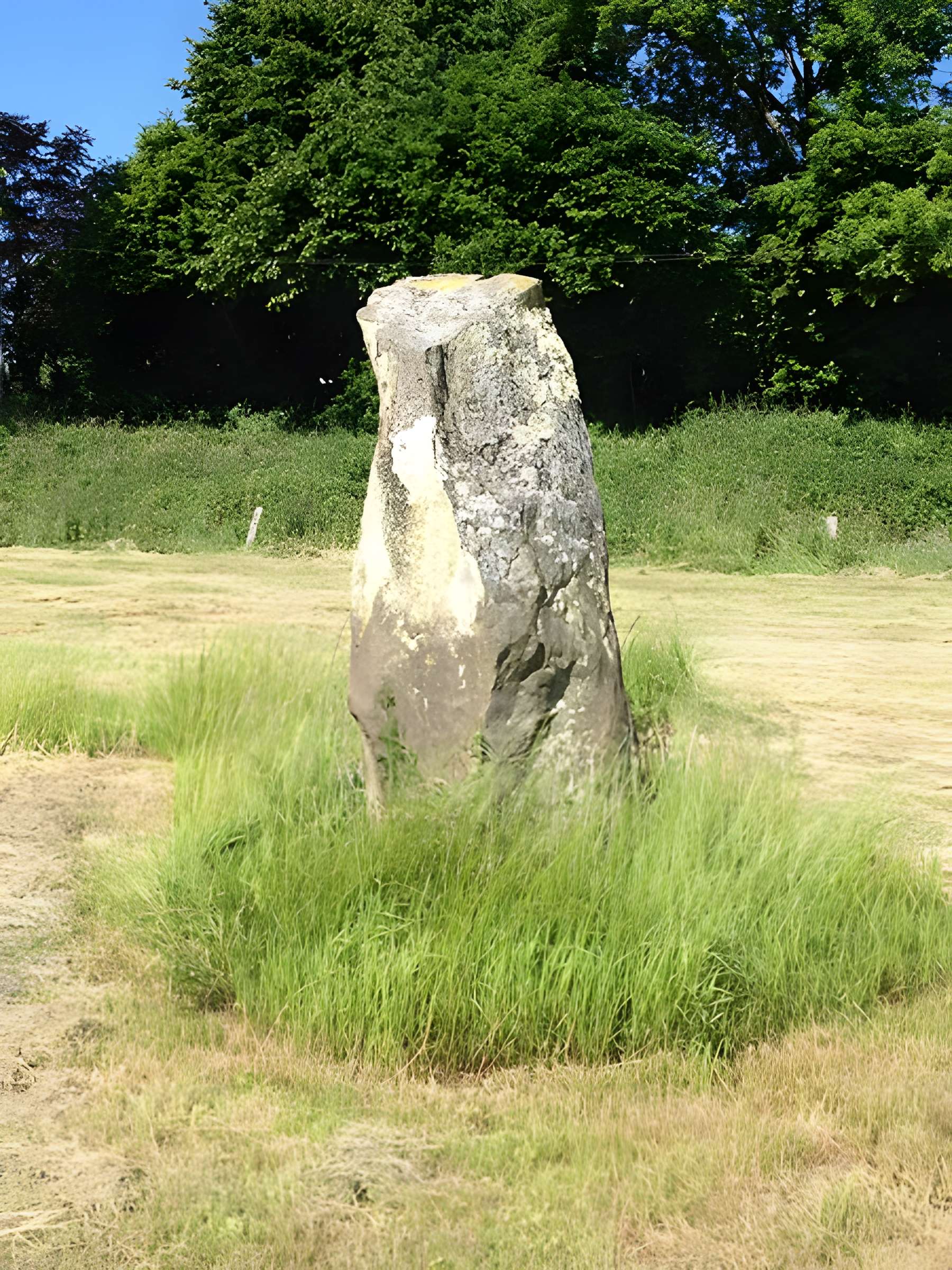 Menhir de Montcorbeau à Couesmes-Vaucé