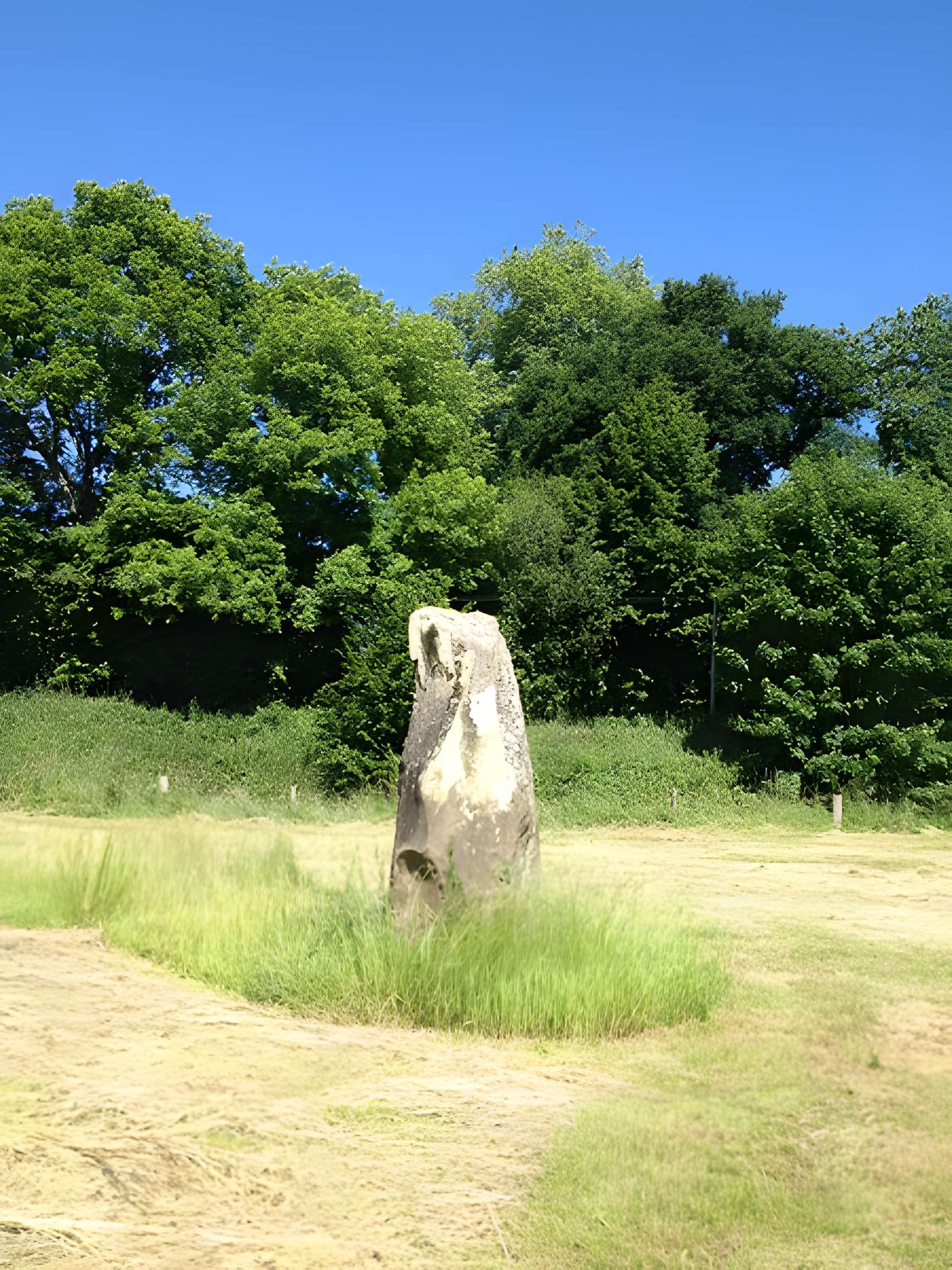 Menhir de Montcorbeau à Couesmes-Vaucé