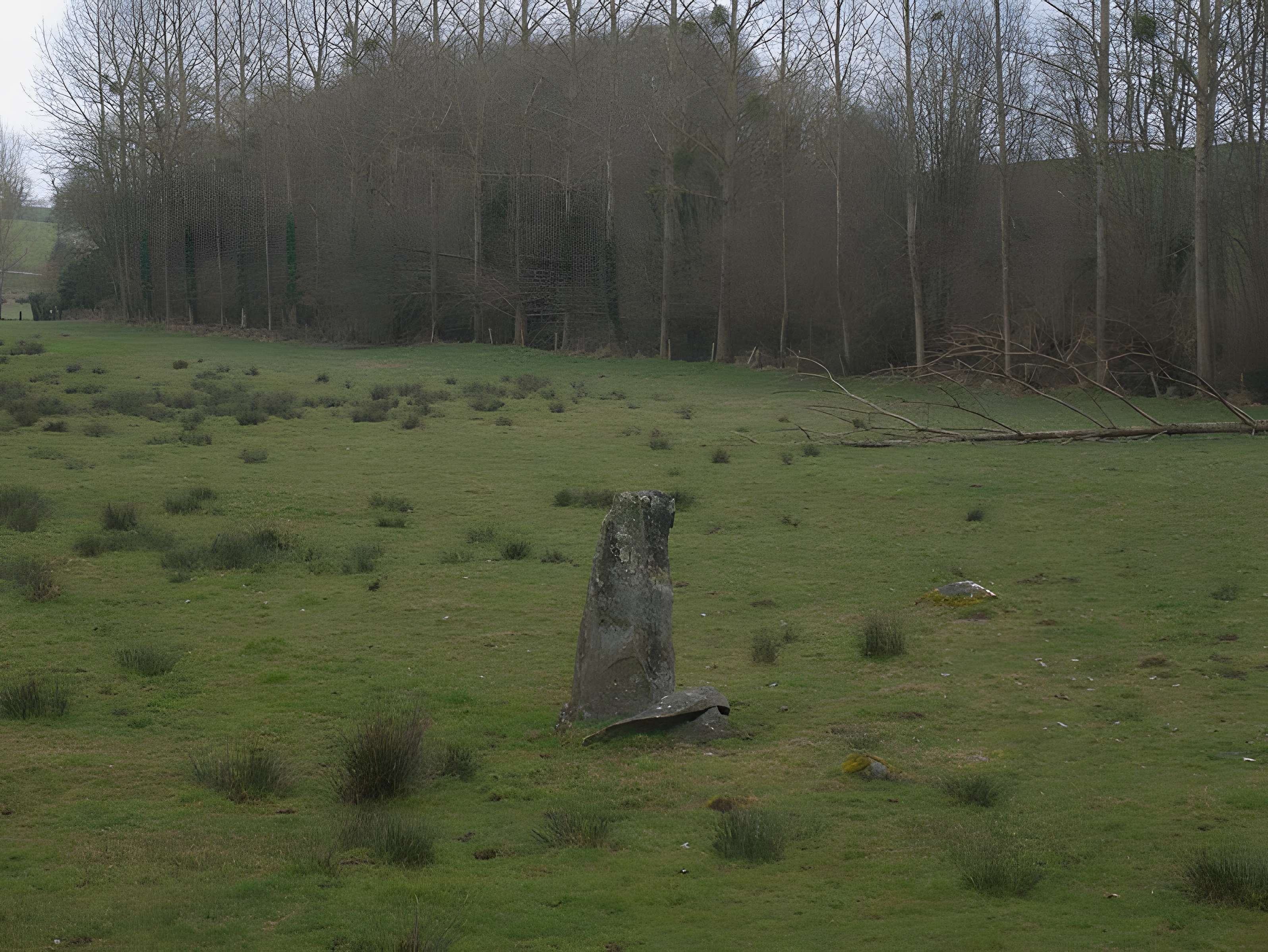 Menhir de Montcorbeau à Couesmes-Vaucé