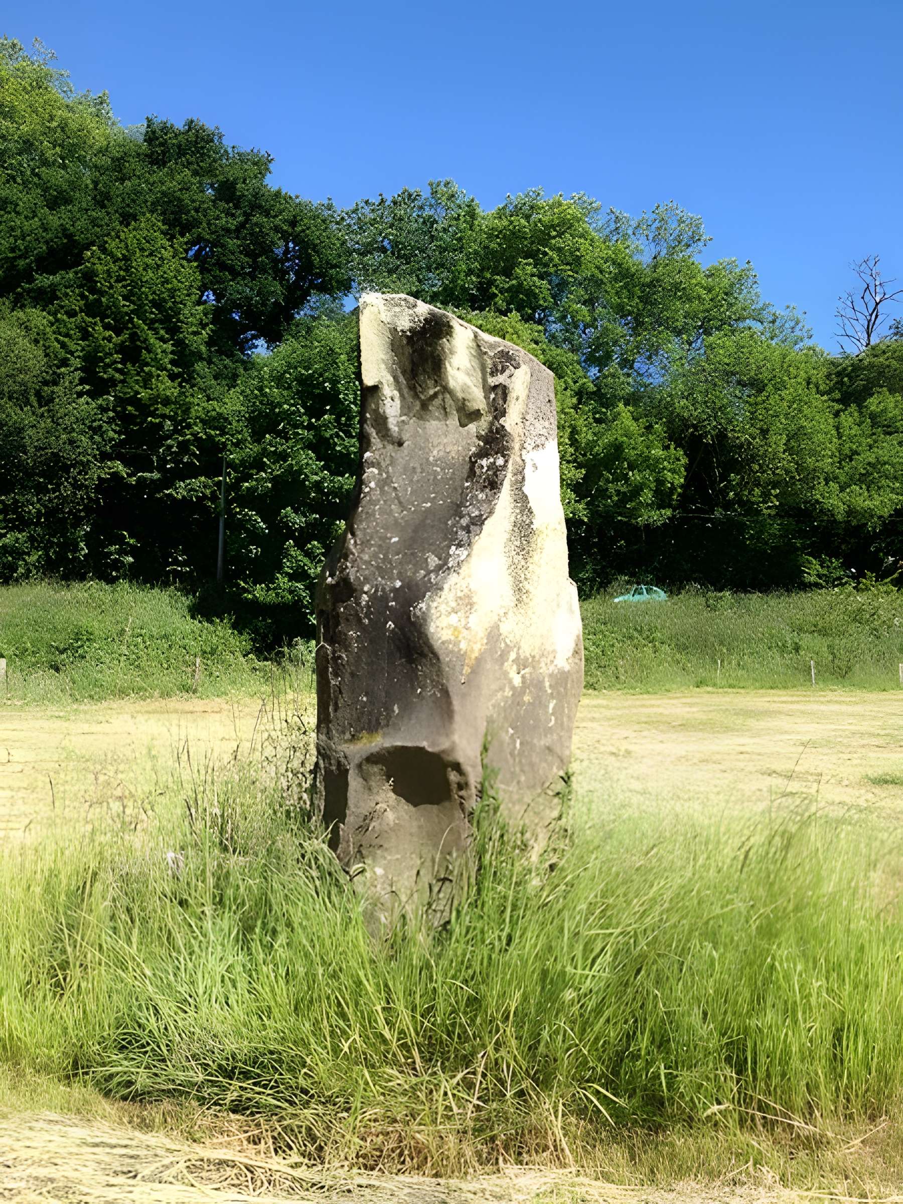 Menhir de Montcorbeau à Couesmes-Vaucé 