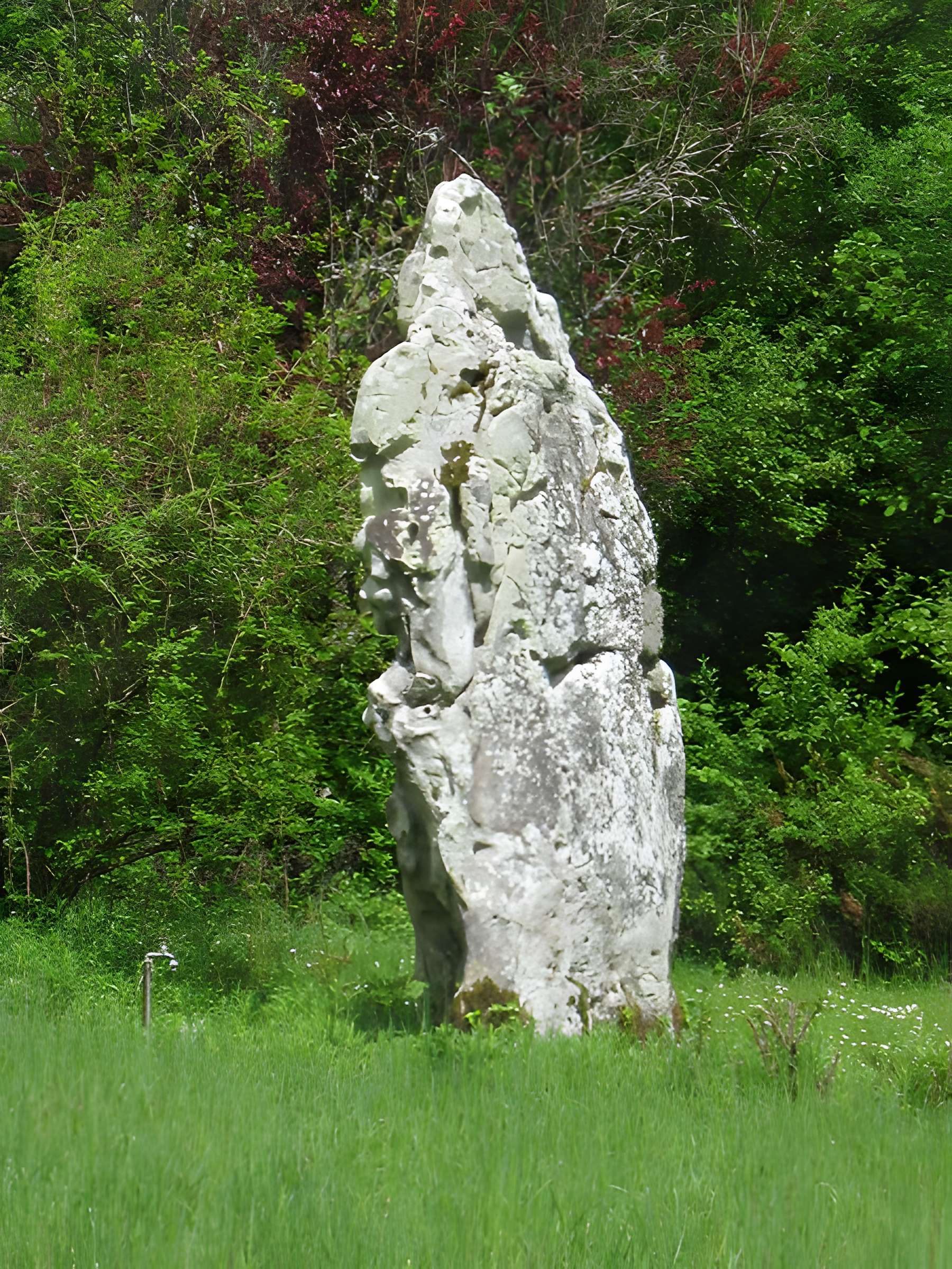 Menhir de Pierrefitte d'Étampes 