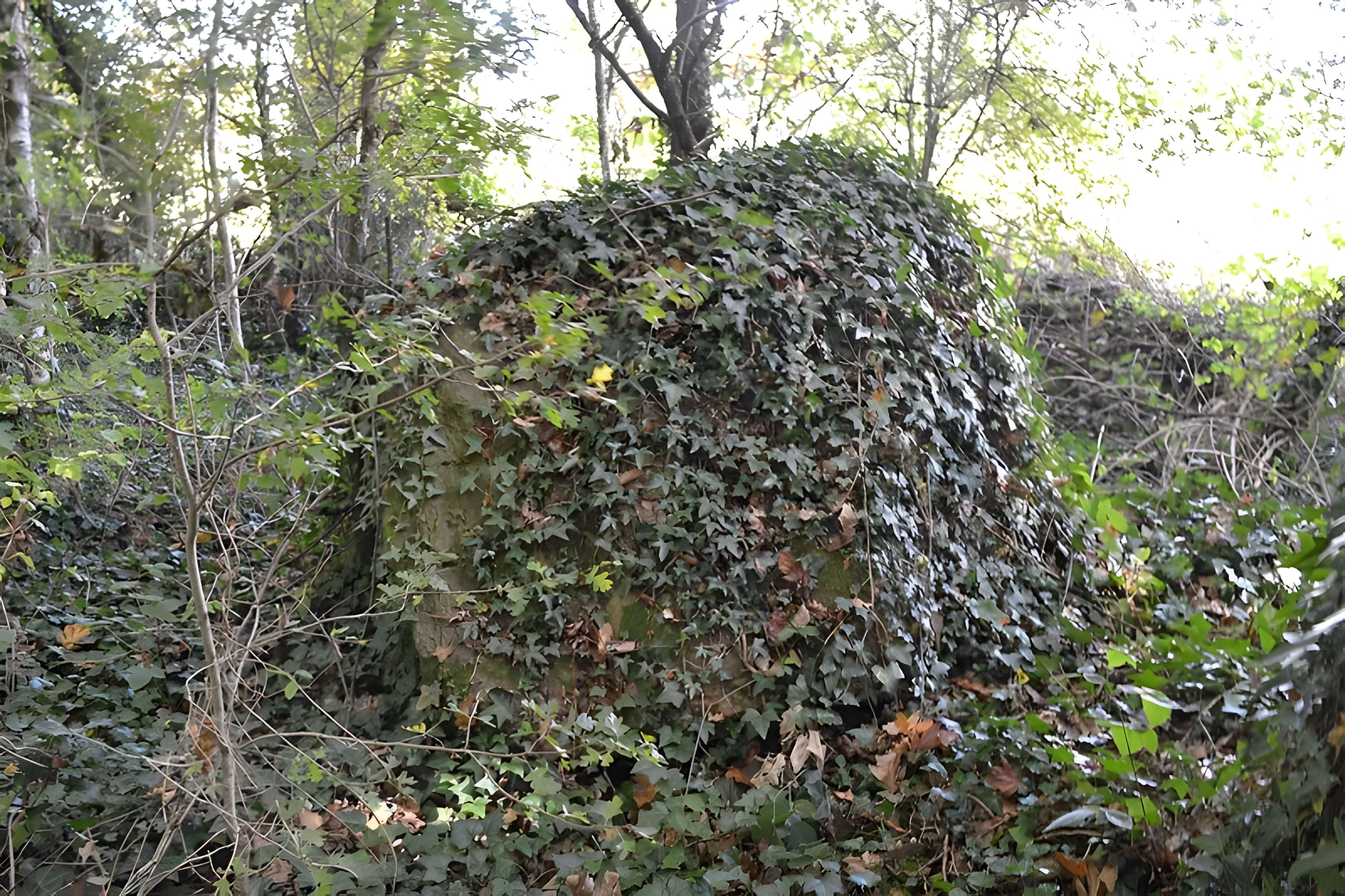 Menhir de Pierre-Pin à Sion-les-Mines 
