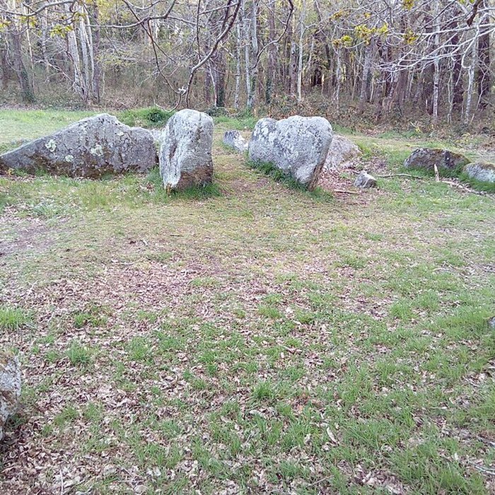 Photo de Menhir de Quélarn et bande de terrain autour