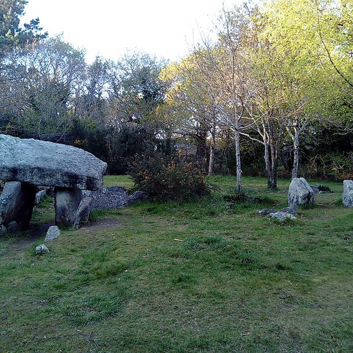 Photo de Menhir de Quélarn et bande de terrain autour