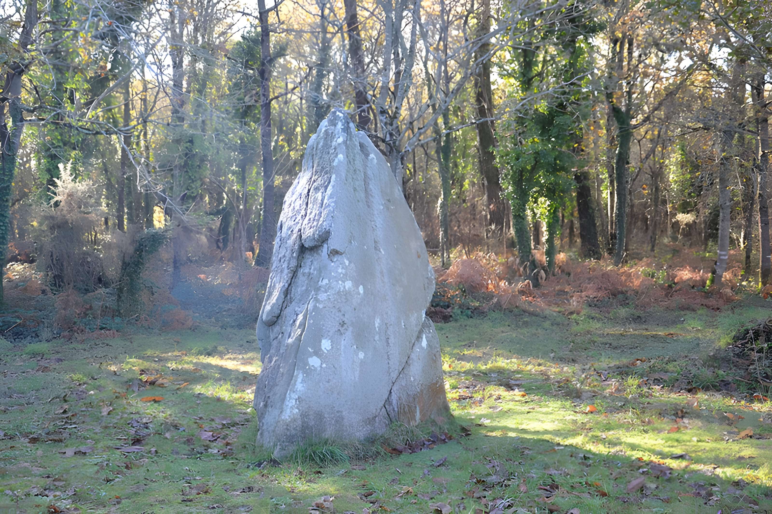 Menhir de Quélarn et bande de terrain autour