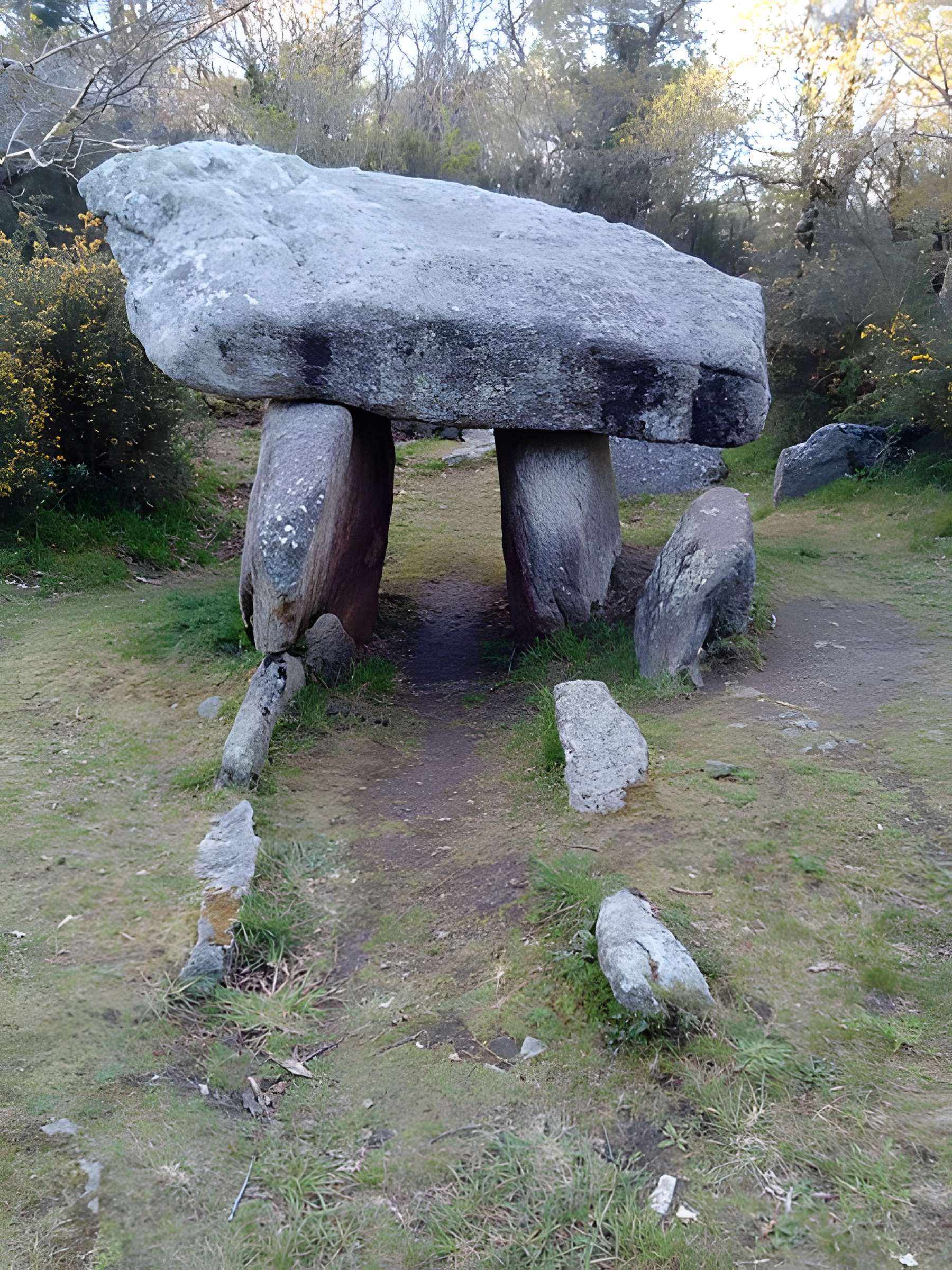 Menhir de Quélarn et bande de terrain autour