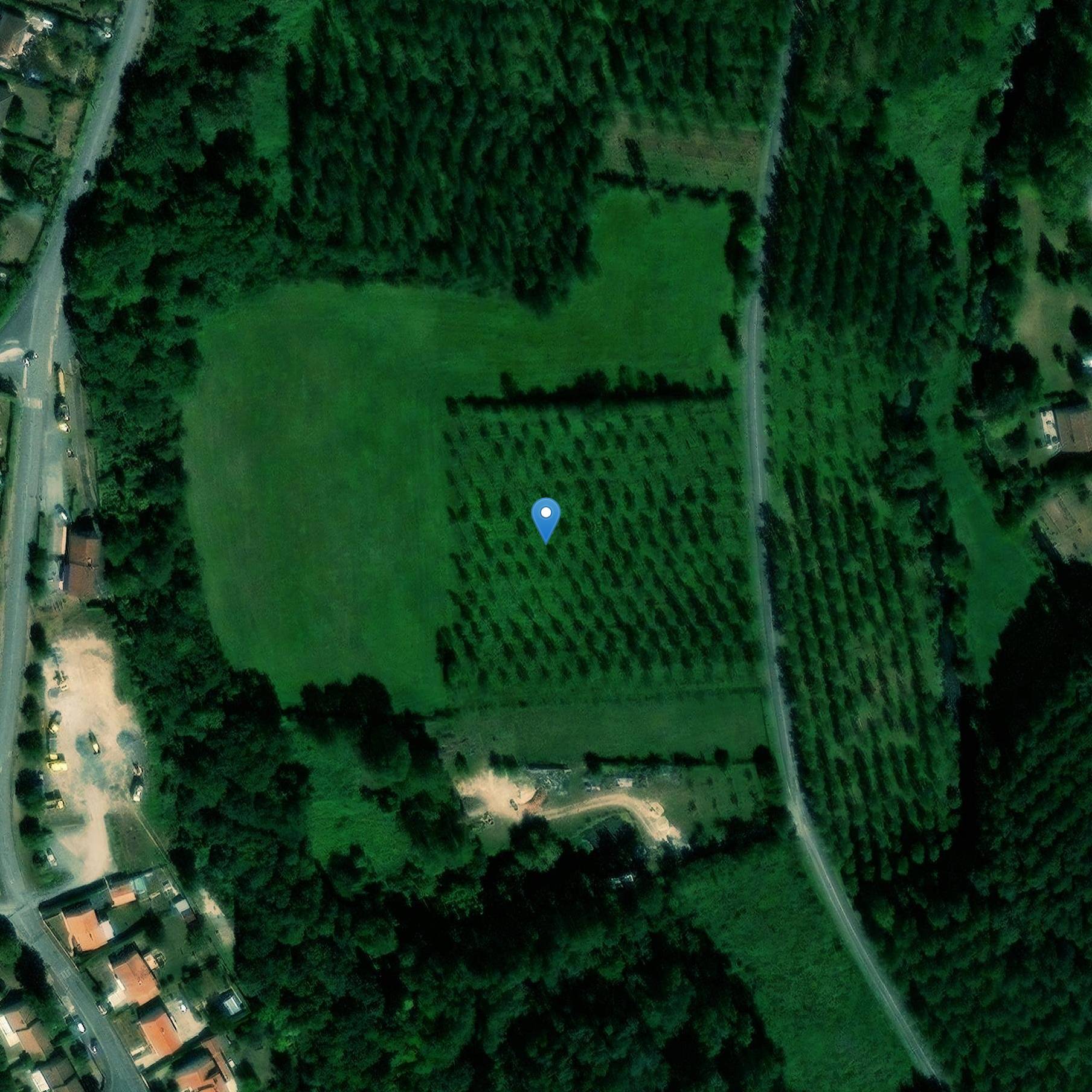 Photo de Menhir de Roumaud à Voillé