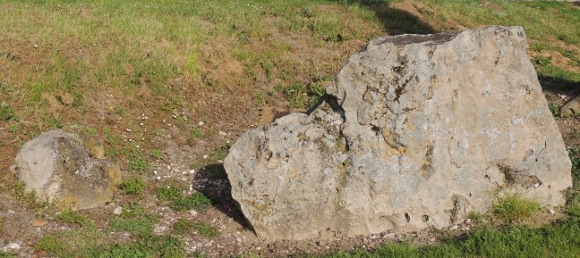 Photo de Menhir de Saint-Brice