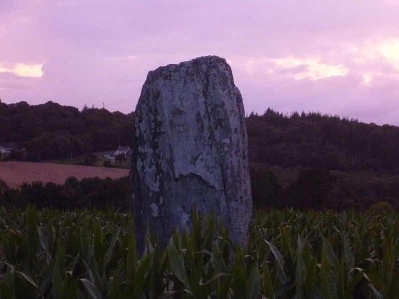 Photo de Menhir de Saint-Gilles-Vieux-Marché