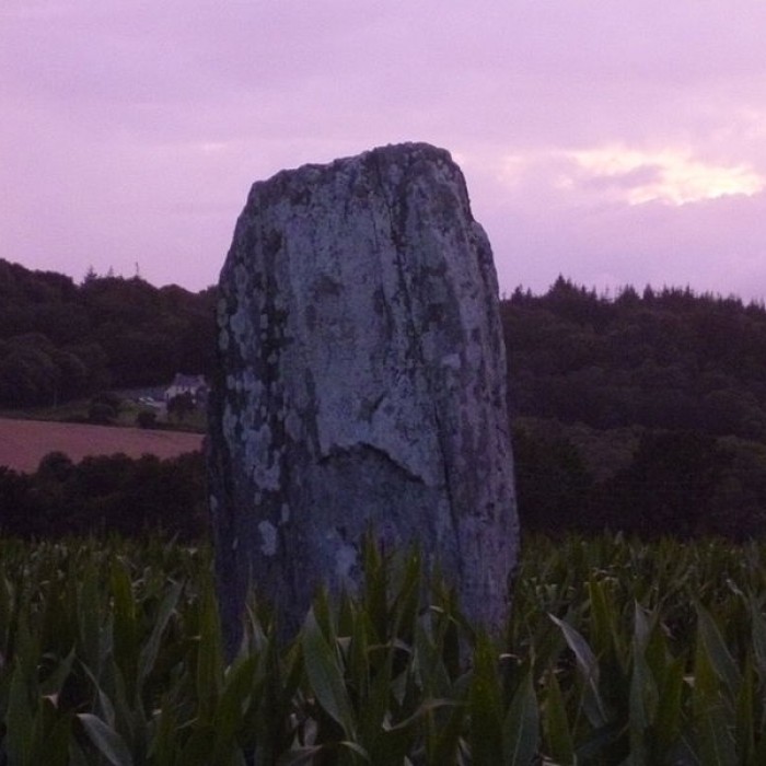 Photo de Menhir de Saint-Gilles-Vieux-Marché