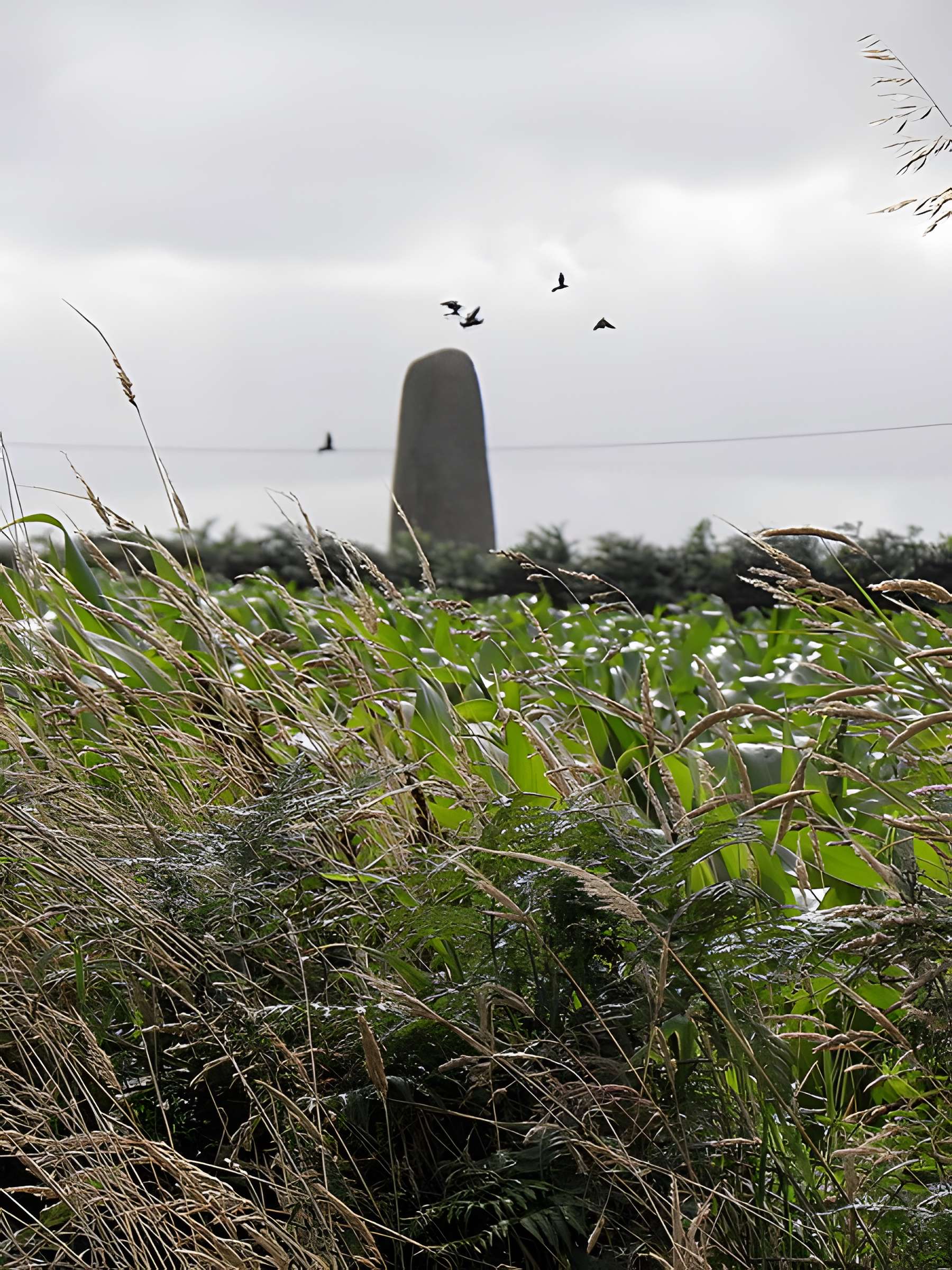 Menhir de Saint-Gonveld à Landunvez