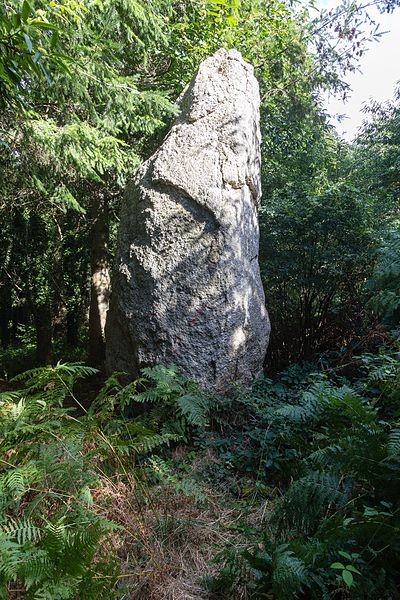 Photo de Menhir de Saint-Julien