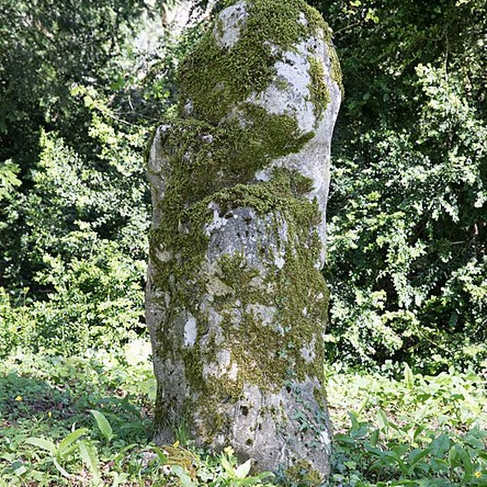 Photo de Menhir de Woinville à Buxières-sous-les-Côtes