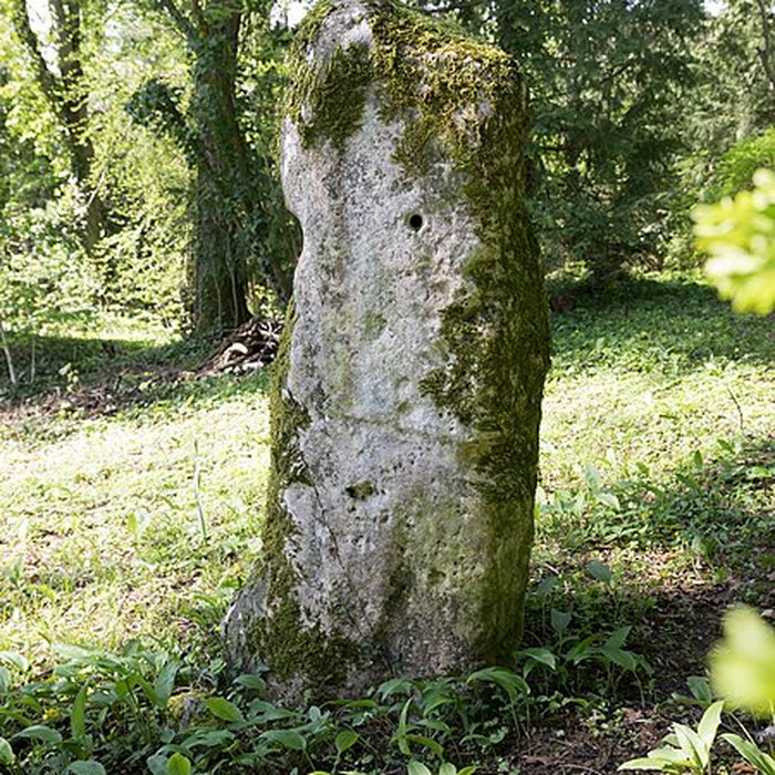 Photo de Menhir de Woinville à Buxières-sous-les-Côtes