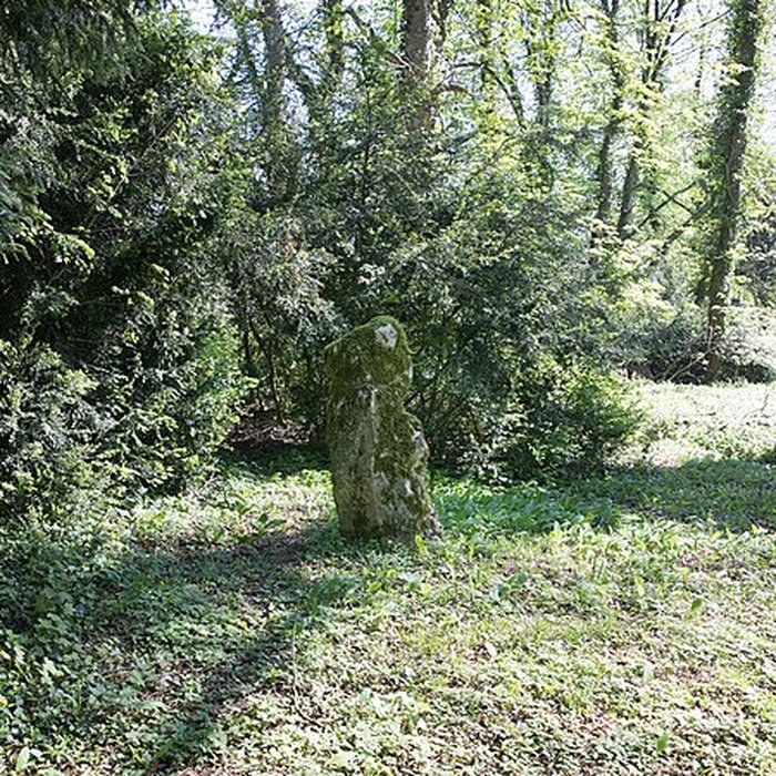 Photo de Menhir de Woinville à Buxières-sous-les-Côtes