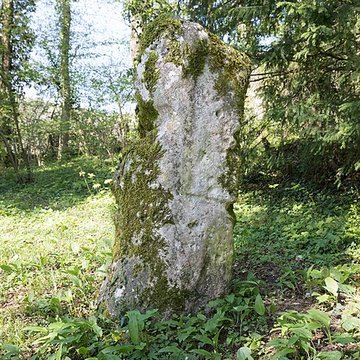 Menhir de Woinville à Buxières-sous-les-Côtes